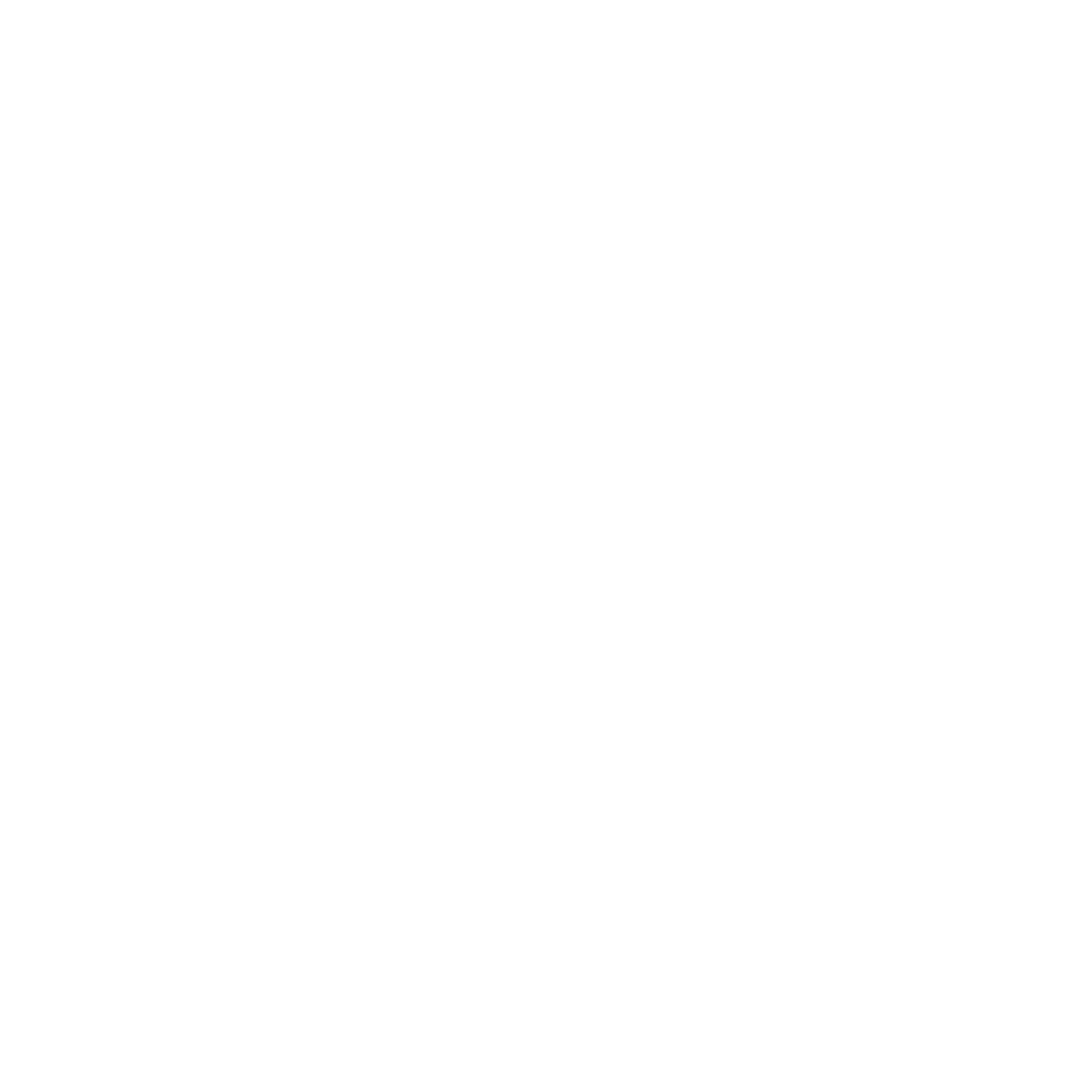 The Levi Group
